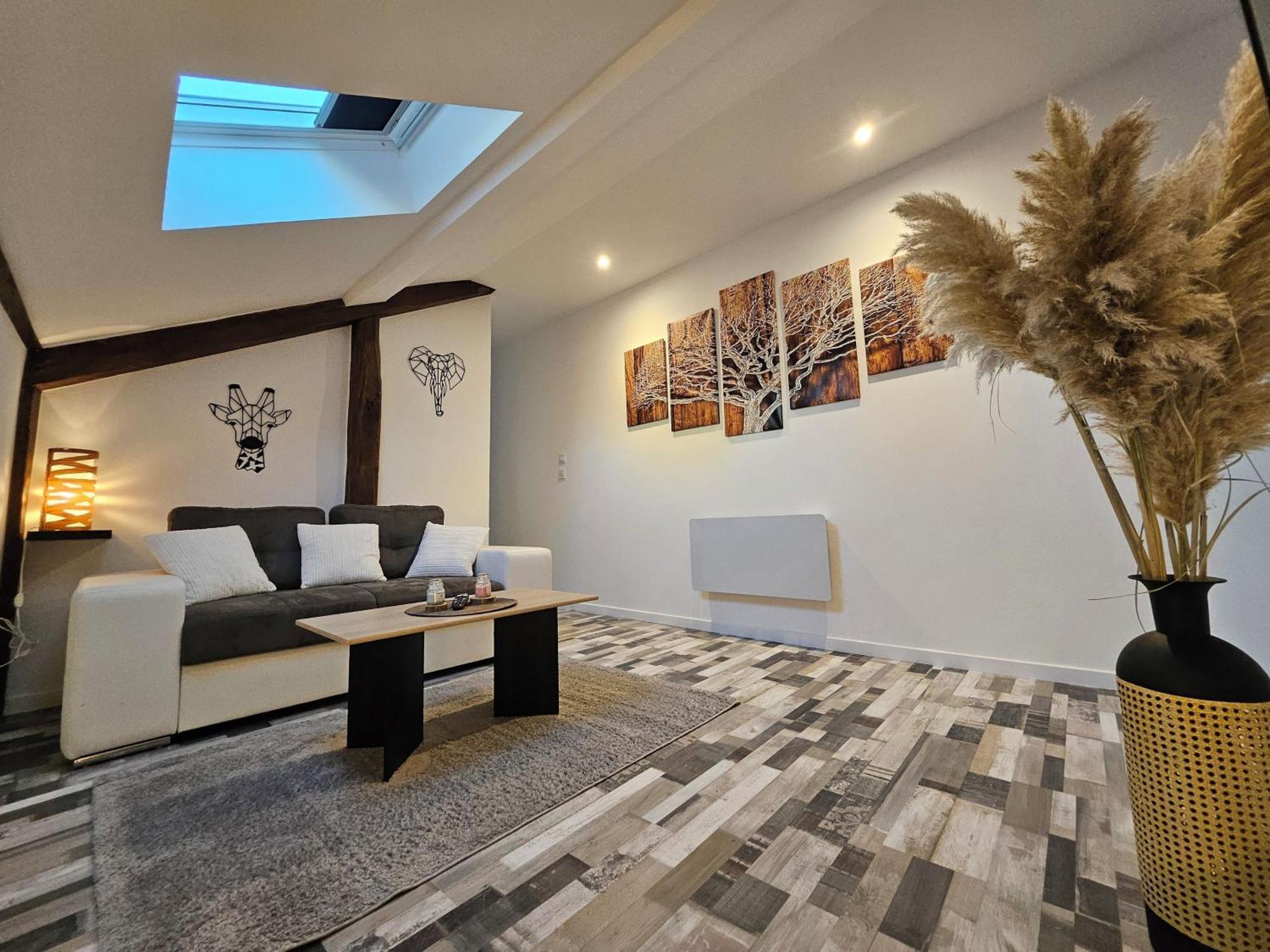 Joli Appartement Mansarde Decize Zewnętrze zdjęcie